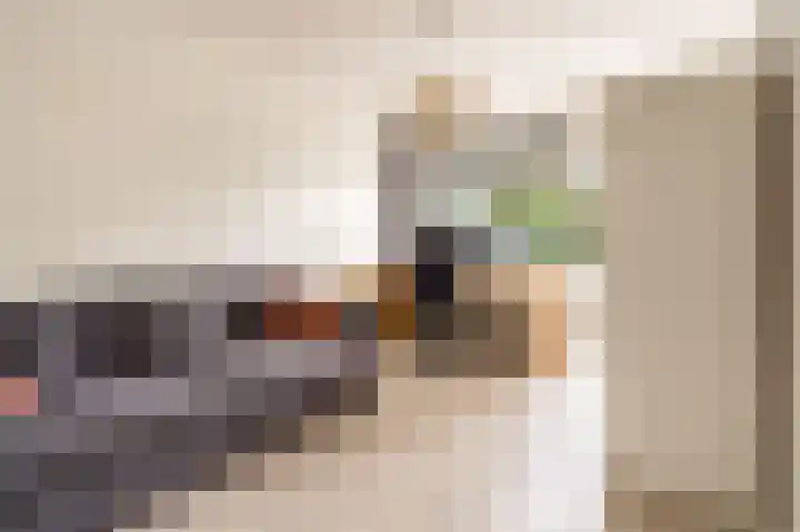 Androsdreef 100 Utrecht thumbnail 18