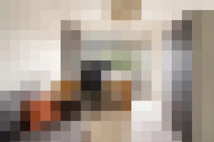Androsdreef 100 Utrecht thumbnail 20