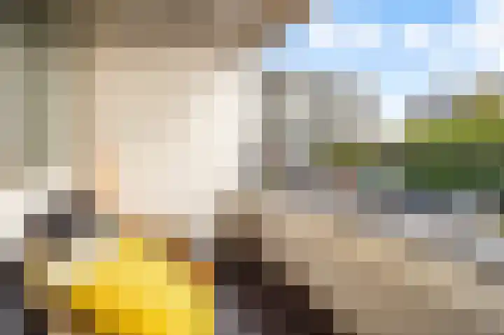 Androsdreef 100 Utrecht thumbnail 21