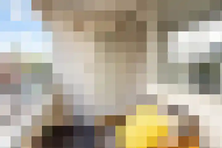 Androsdreef 100 Utrecht thumbnail 23