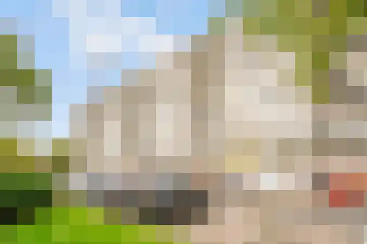 Androsdreef 100 Utrecht thumbnail 32