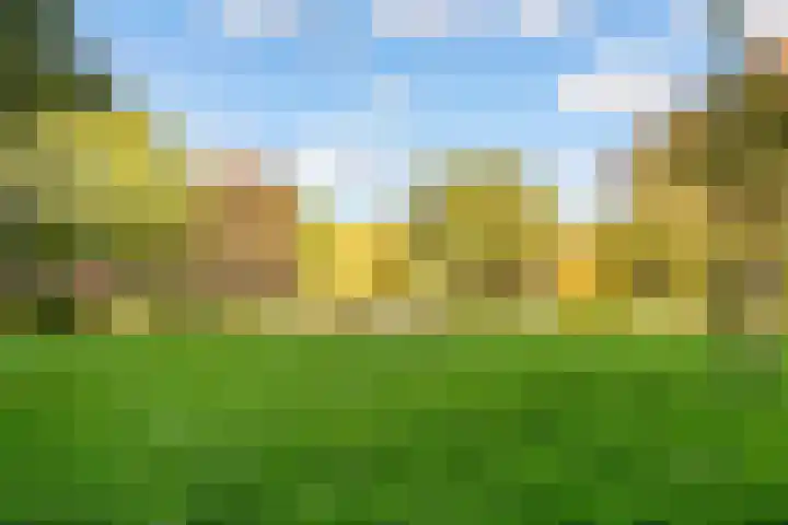 Androsdreef 100 Utrecht thumbnail 34
