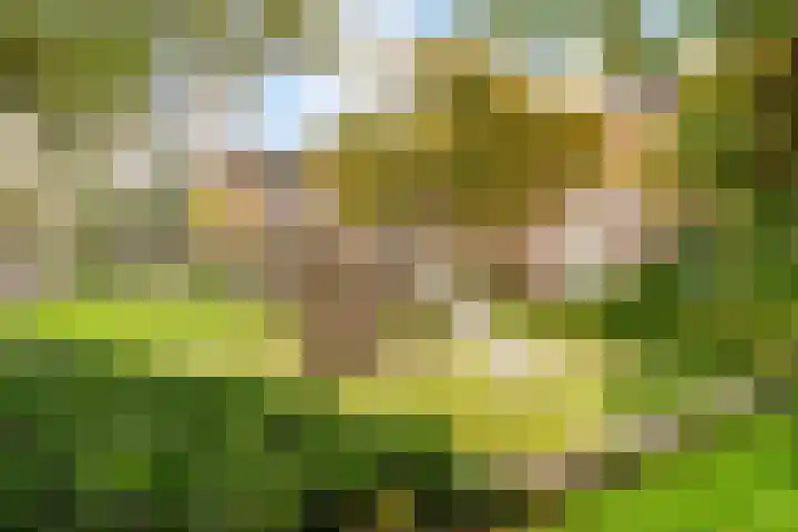 Androsdreef 100 Utrecht thumbnail 35