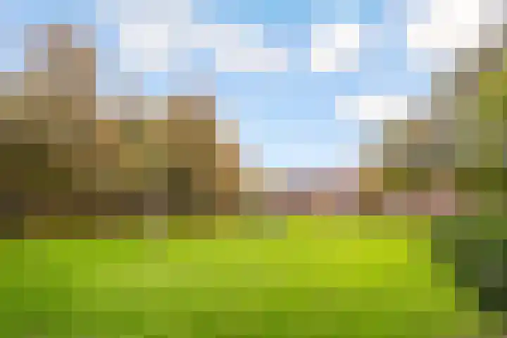 Androsdreef 100 Utrecht thumbnail 36