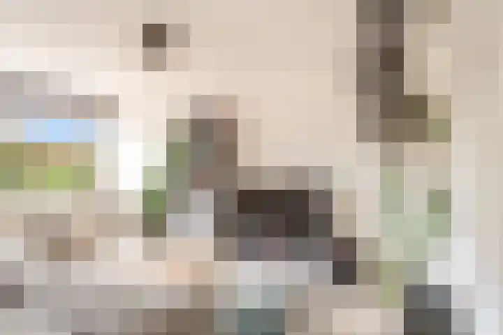 Androsdreef 100 Utrecht thumbnail 5