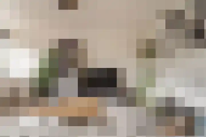 Androsdreef 100 Utrecht thumbnail 8