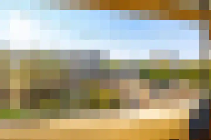 Androsdreef 114 Utrecht thumbnail 16