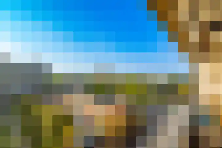 Androsdreef 114 Utrecht thumbnail 18