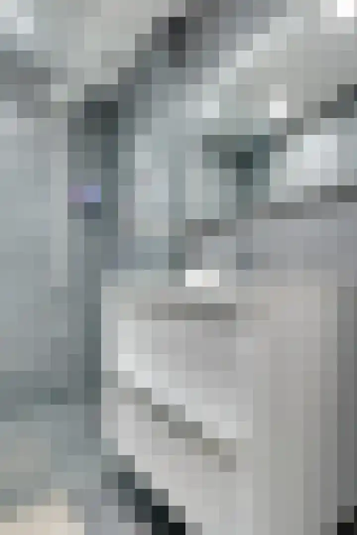Androsdreef 114 Utrecht thumbnail 23
