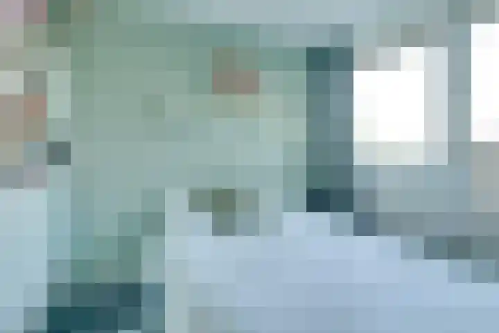 Androsdreef 114 Utrecht thumbnail 26