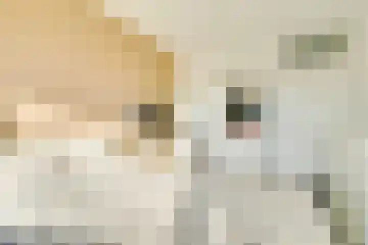 Androsdreef 114 Utrecht thumbnail 29