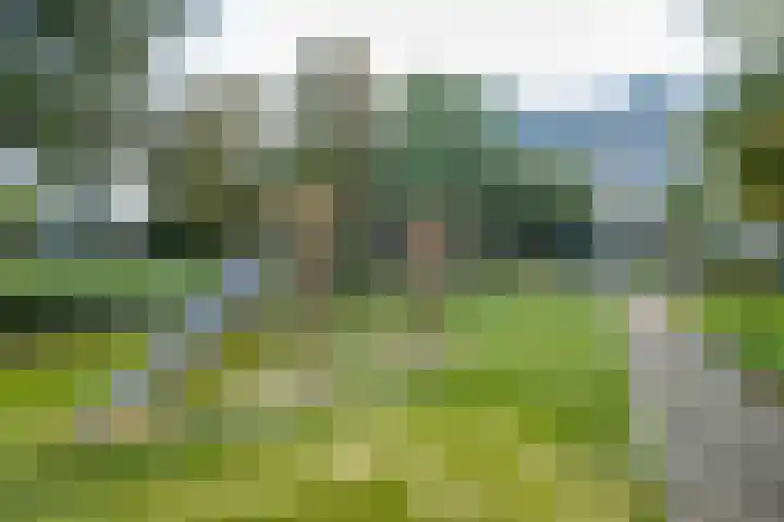 Androsdreef 114 Utrecht thumbnail 35