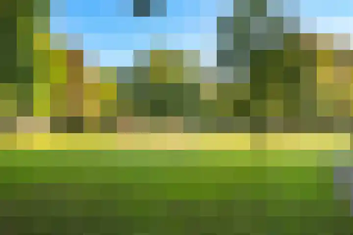 Androsdreef 114 Utrecht thumbnail 37