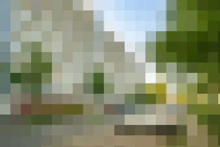 Androsdreef 114 Utrecht thumbnail 38
