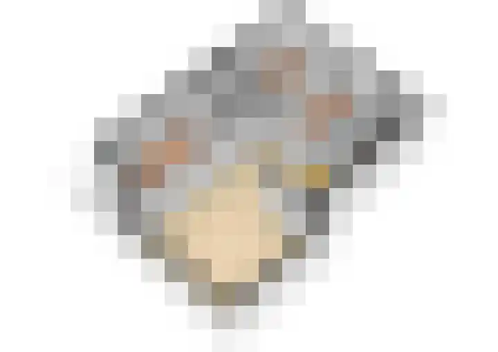 Androsdreef 114 Utrecht thumbnail 42