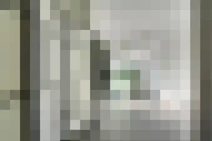 Androsdreef 114 Utrecht thumbnail 6