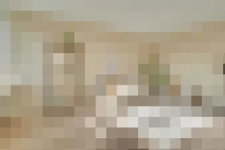 Androsdreef 116 Utrecht thumbnail 10