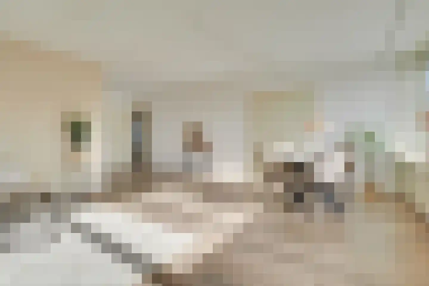 Androsdreef 116 Utrecht thumbnail 11