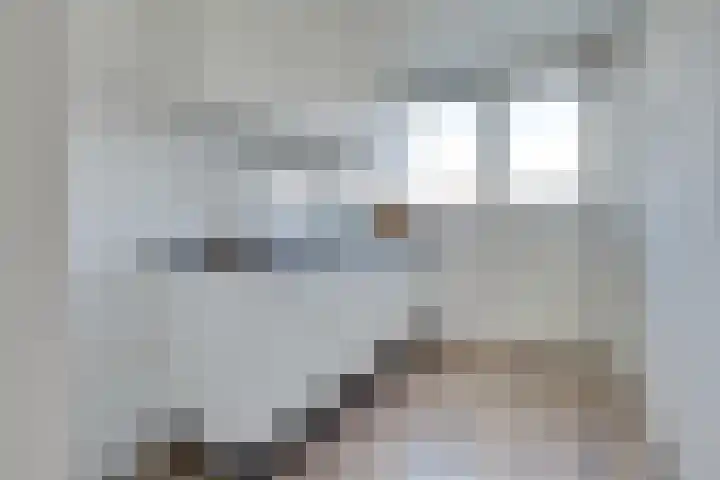 Androsdreef 116 Utrecht thumbnail 13