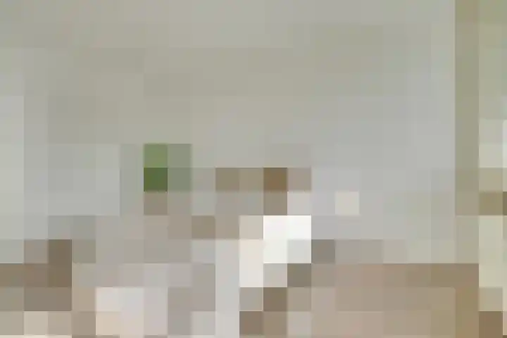 Androsdreef 116 Utrecht thumbnail 16