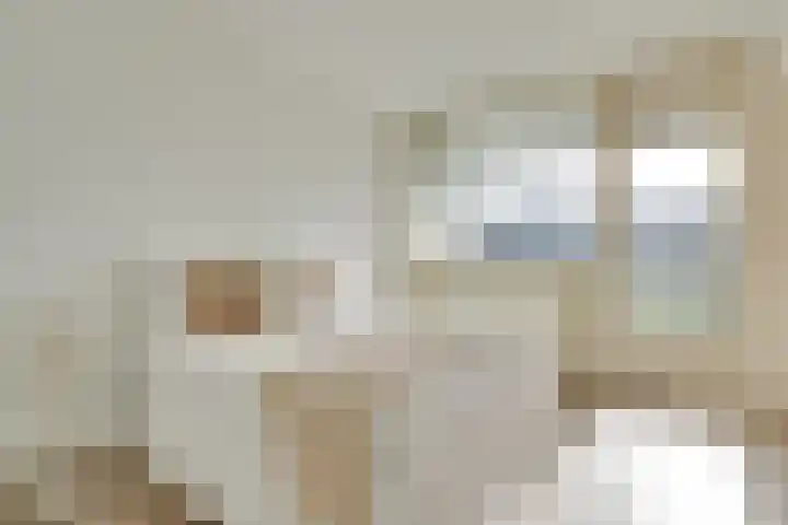 Androsdreef 116 Utrecht thumbnail 17