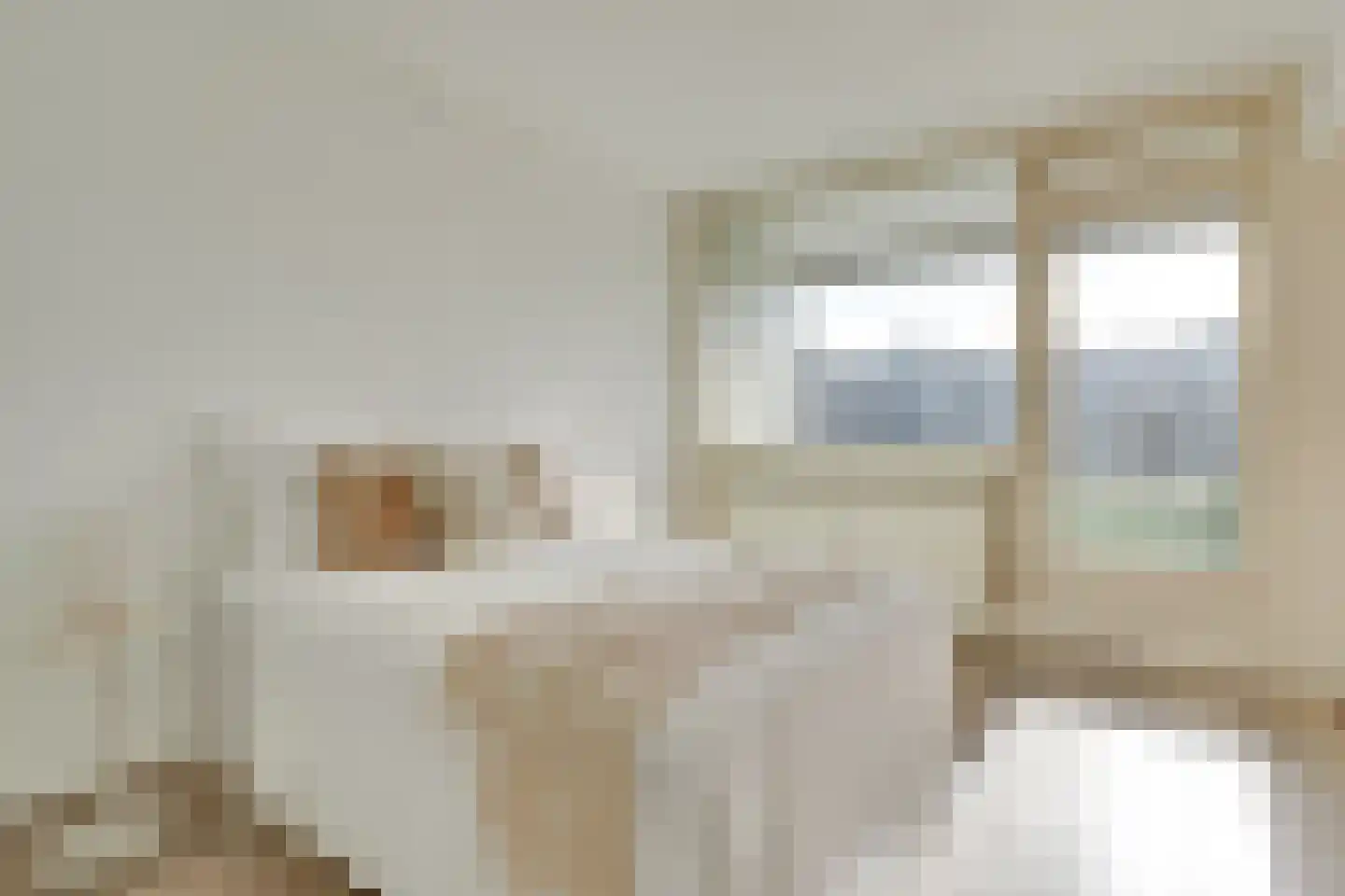 Androsdreef 116 Utrecht thumbnail 17