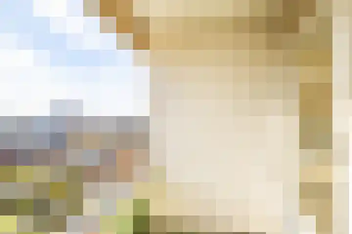 Androsdreef 116 Utrecht thumbnail 20