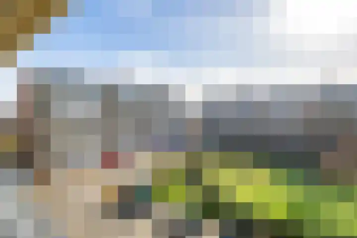 Androsdreef 116 Utrecht thumbnail 21