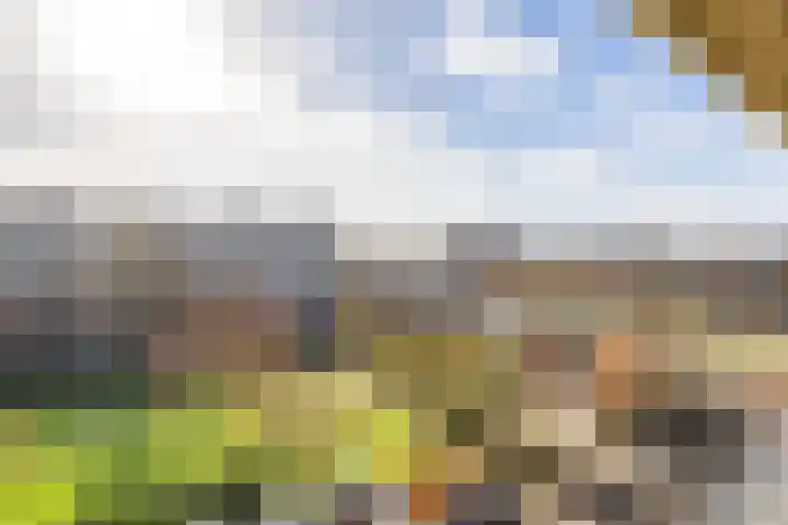 Androsdreef 116 Utrecht thumbnail 4
