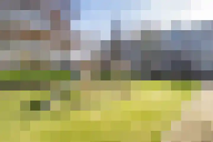 Androsdreef 116 Utrecht thumbnail 40