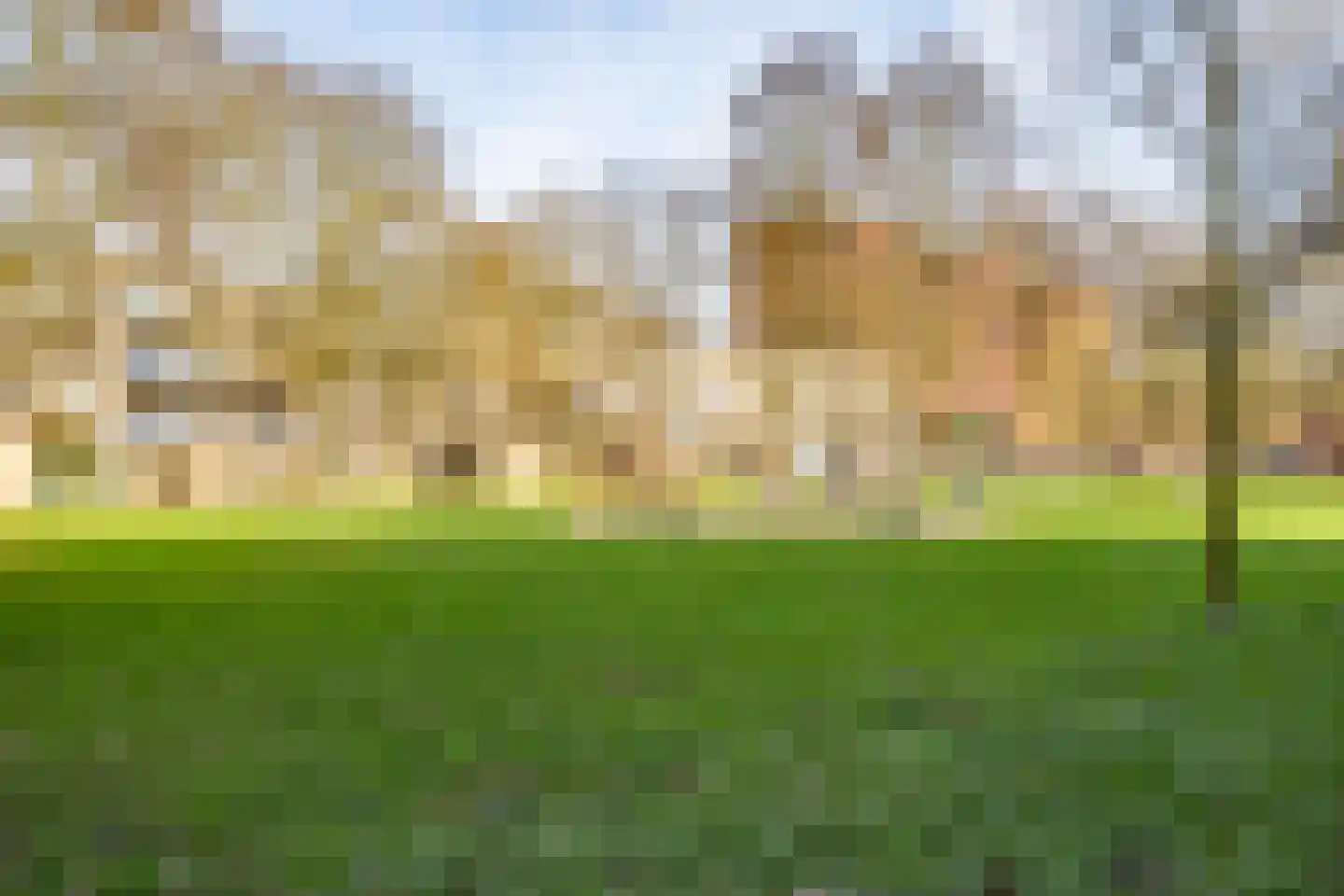 Androsdreef 116 Utrecht thumbnail 41