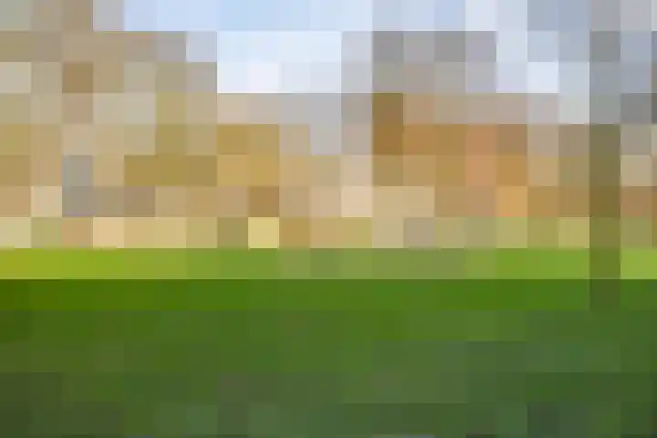 Androsdreef 116 Utrecht thumbnail 41