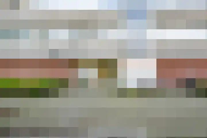 Androsdreef 116 Utrecht thumbnail 5