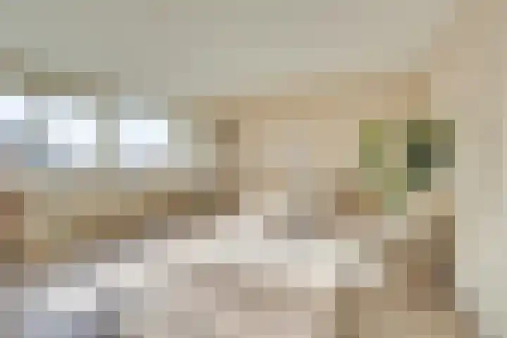 Androsdreef 116 Utrecht thumbnail 8