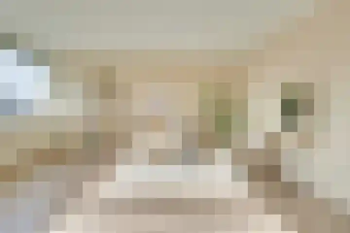 Androsdreef 116 Utrecht thumbnail 9