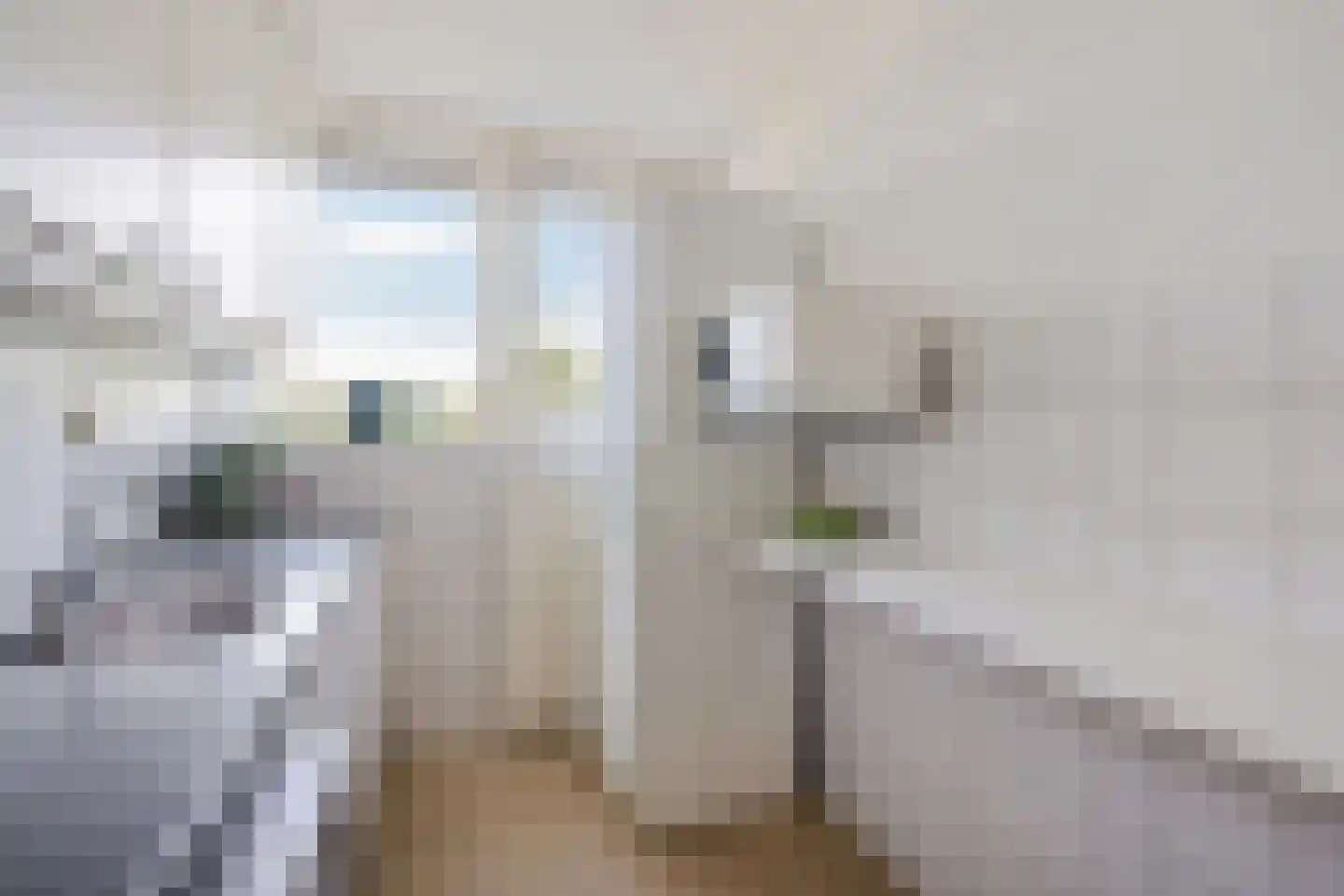 Androsdreef 120 Utrecht thumbnail 12