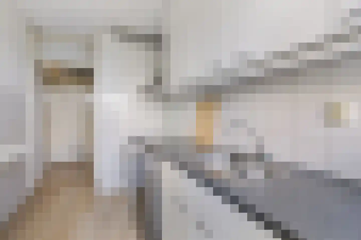 Androsdreef 120 Utrecht thumbnail 13