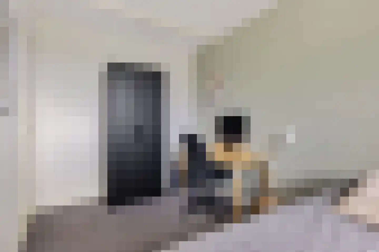 Androsdreef 120 Utrecht thumbnail 20