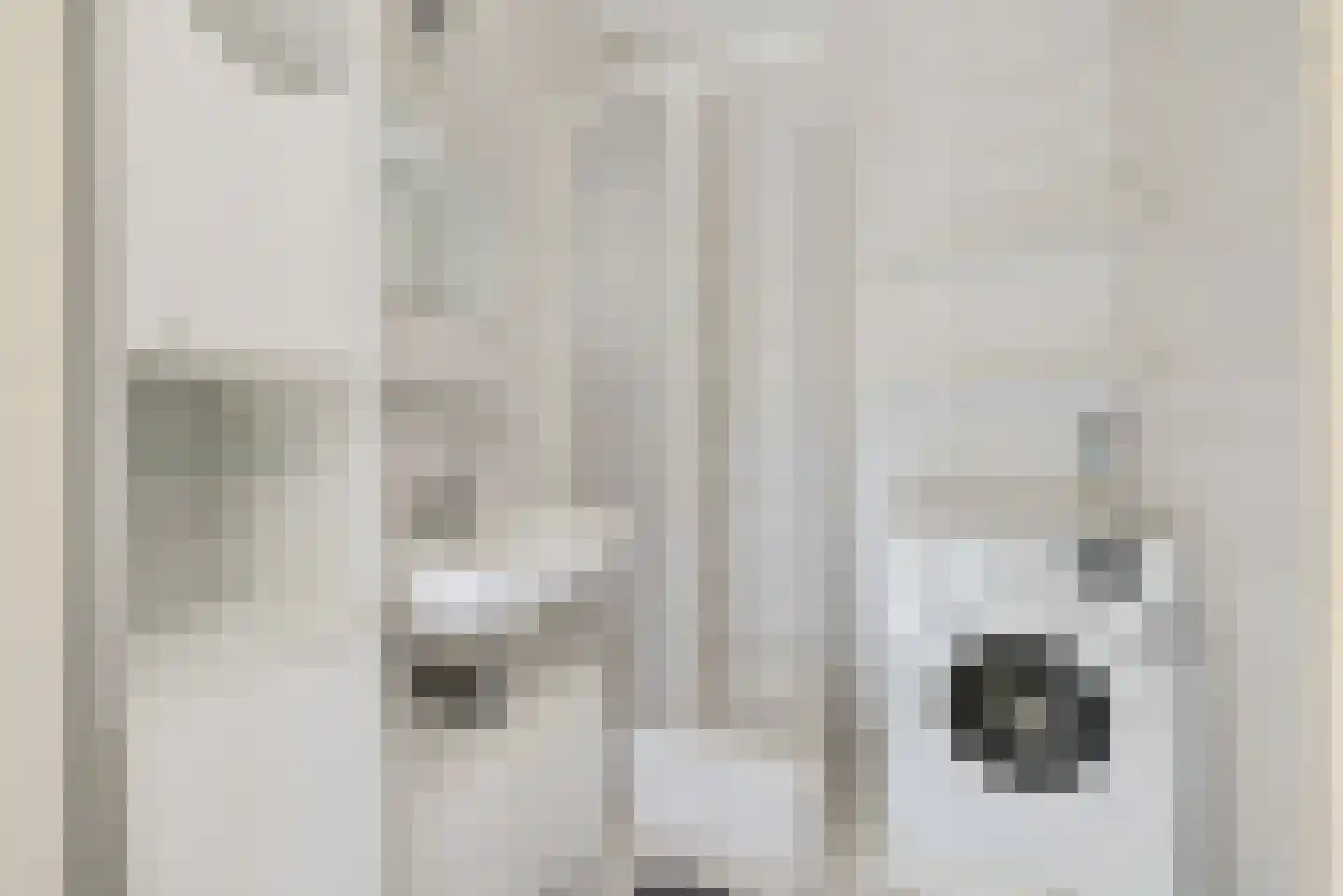 Androsdreef 120 Utrecht thumbnail 23