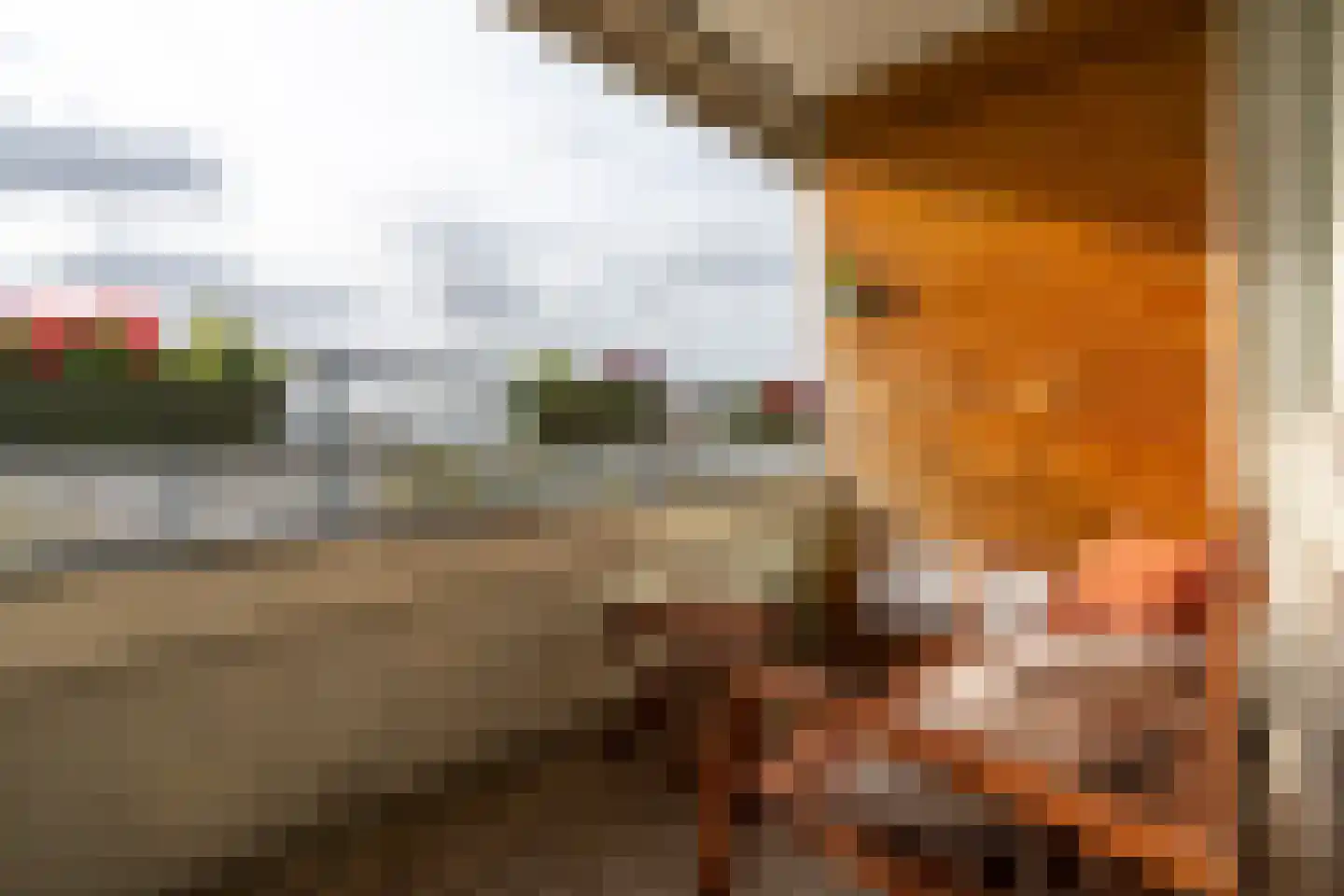 Androsdreef 122 Utrecht thumbnail 23