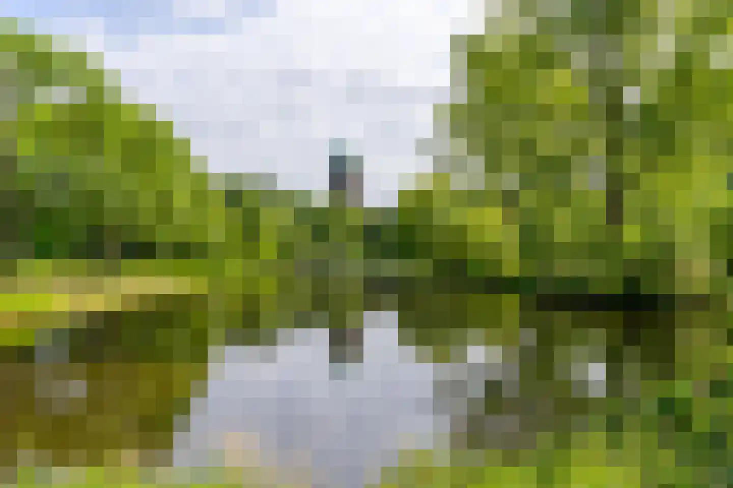 Androsdreef 122 Utrecht thumbnail 38