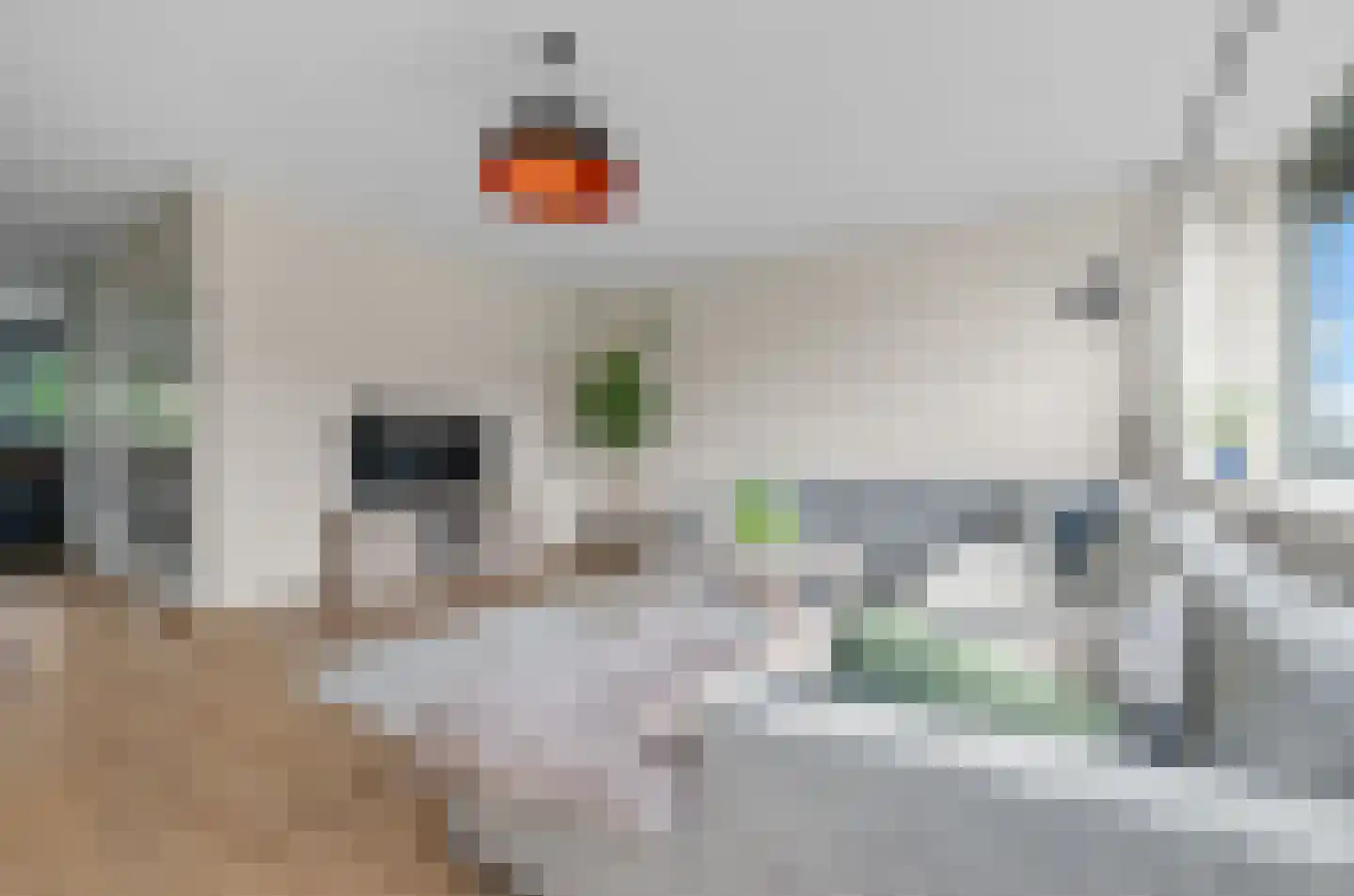 Androsdreef 14 Utrecht thumbnail 11