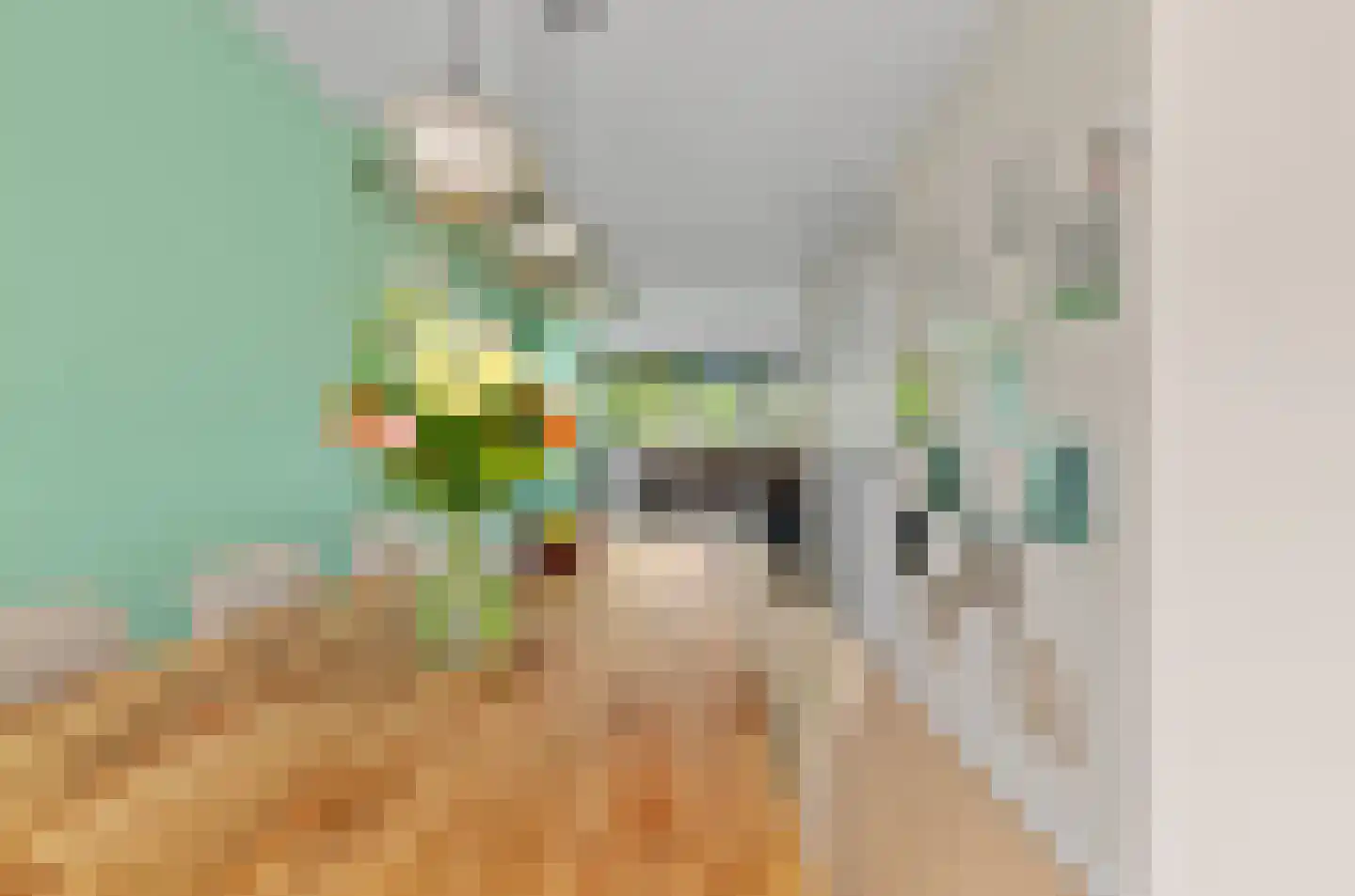 Androsdreef 14 Utrecht thumbnail 13