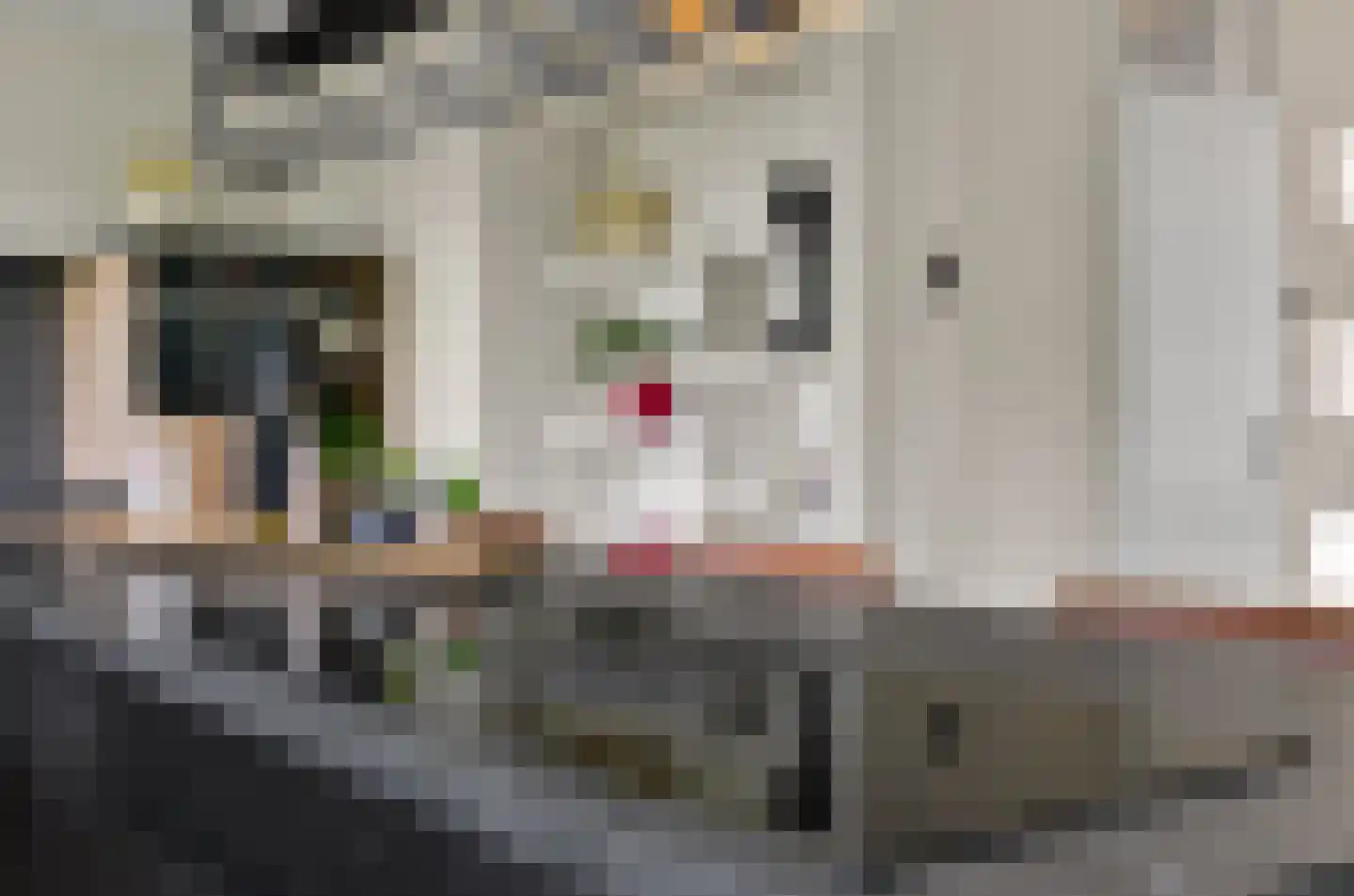 Androsdreef 14 Utrecht thumbnail 16