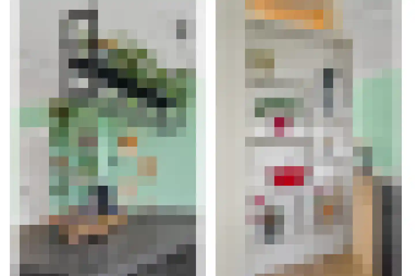 Androsdreef 14 Utrecht thumbnail 19