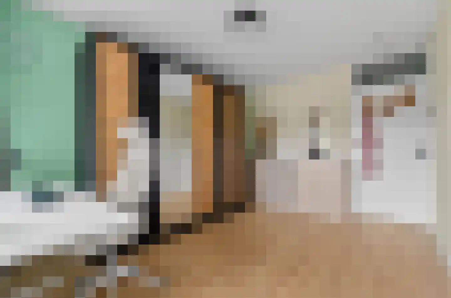Androsdreef 14 Utrecht thumbnail 24
