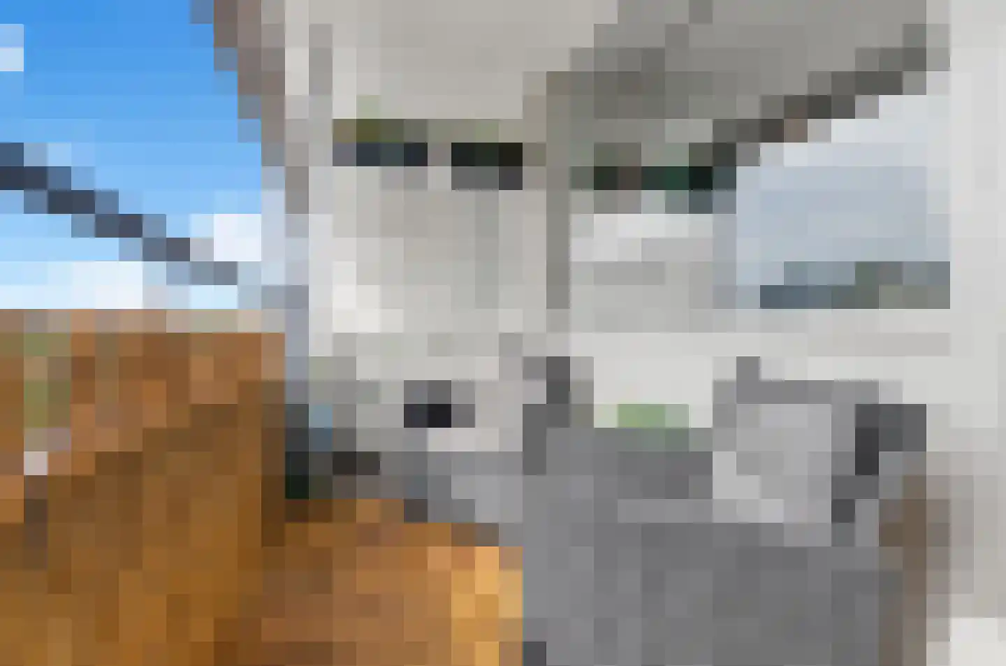 Androsdreef 14 Utrecht thumbnail 27