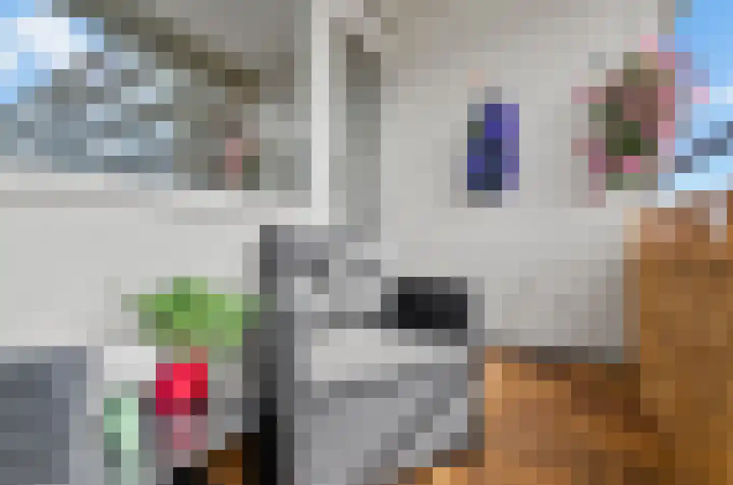 Androsdreef 14 Utrecht thumbnail 28