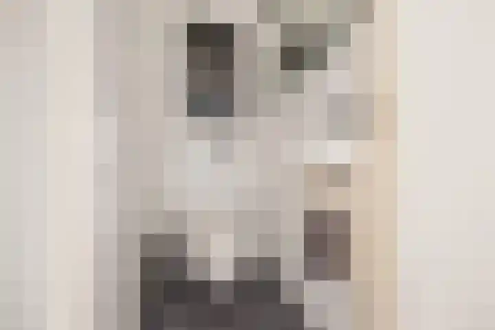 Androsdreef 140 Utrecht thumbnail 21