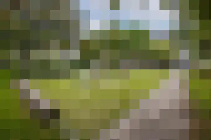 Androsdreef 140 Utrecht thumbnail 27